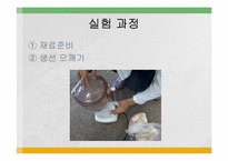[식품영양, 실험조리] 첨가물이 어묵형성에 미치는 영향-4