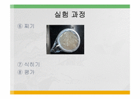[식품영양, 실험조리] 첨가물이 어묵형성에 미치는 영향-7