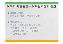 [식품영양, 실험조리] 첨가물이 어묵형성에 미치는 영향-18