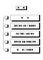 [해외시장론] 중국 성형시장 진출방안-2