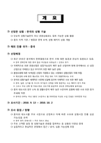 [해외시장론] 중국 성형시장 진출방안-3