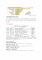 [국제경영론] 인도 TaTa의 사업전략-5