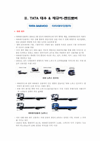 [국제경영론] 인도 TaTa의 사업전략-10