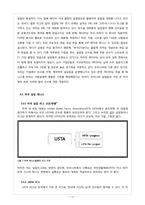 [스포츠 마케팅] 한국 실업 테니스와 일본, 미국의 실업 테니스 비교 분석-11