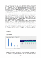 [스포츠 마케팅] FC 서울 마케팅 사례 분석-4