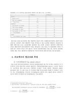 [국제재무관리] 해외 투자 사례 분석-4