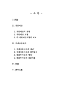 [국제무역] 국제자본예산의 효율적 방안-2