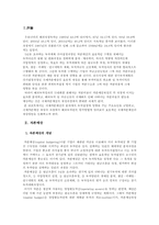[국제무역] 국제자본예산의 효율적 방안-3