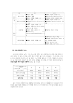 [국제무역] 국제자본예산의 효율적 방안-6