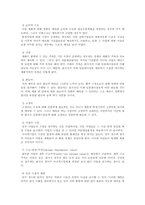 [국제무역] 국제자본예산의 효율적 방안-8