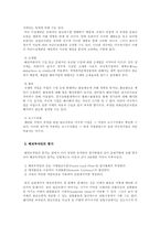 [국제무역] 국제자본예산의 효율적 방안-9