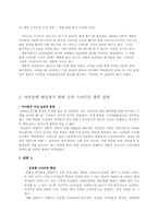 아이폰 대응 위한 국산 스마트폰의 향후 전략-13