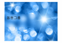 [조직구조론] 동원그룹의 기업확장과 경영전략-1