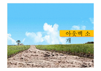 [경영학] 아웃백 마케팅 분석-3