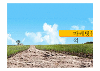 [경영학] 아웃백 마케팅 분석-16
