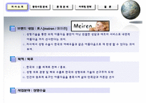 [해외시장론] 중국 성형시장 진출방안-4