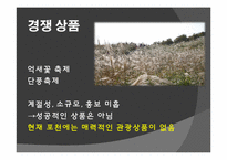 [관광상품기획론] 2015 포천 막걸리 페스티벌 기획안-10
