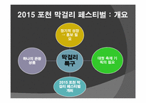 [관광상품기획론] 2015 포천 막걸리 페스티벌 기획안-12