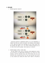 [국제협상] 중국 위안화 절상 협상과정 및 평가-2