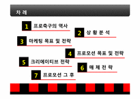 [스포츠 마케팅] FC 서울 마케팅 사례 분석-2