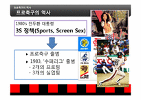 [스포츠 마케팅] FC 서울 마케팅 사례 분석-3