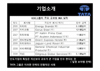 [국제경영론] 인도 TaTa의 사업전략-9