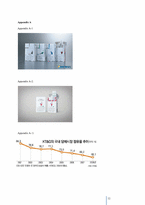 [소비자 행동론] 담배 브랜드 `레종팝`의 광고효과 분석(영문)-11