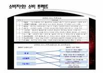 [소비자행동론] 2010년 현대 소비트렌드 조사-4