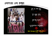 [소비자행동론] 2010년 현대 소비트렌드 조사-6
