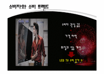 [소비자행동론] 2010년 현대 소비트렌드 조사-7