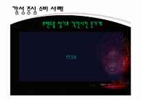 [소비자행동론] 2010년 현대 소비트렌드 조사-15