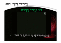 [소비자행동론] 2010년 현대 소비트렌드 조사-17