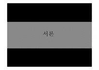 [정치권력과 리더십] 김대중 대통령 리더십-3