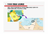 [국제물류] 중동, 아프라카 비즈니스 hub로서 두바이의 발전전략과 시사점-6