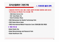 [국제물류] 중동, 아프라카 비즈니스 hub로서 두바이의 발전전략과 시사점-19