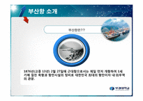 [국제항만] 부산항의 운영 및 BPA의 경영 전략-5