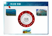 [국제항만] 부산항의 운영 및 BPA의 경영 전략-12