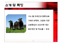 [일본경제론] 와규의 프리미엄화 전략-6