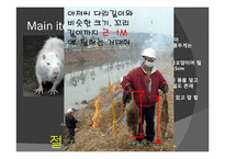 [관광상품기획론] 외래종의 생태계 파괴-뉴트리아 사냥대회 생태관광 기획안-16
