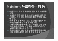 [관광상품기획론] 외래종의 생태계 파괴-뉴트리아 사냥대회 생태관광 기획안-19