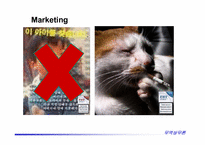 [무역상무론] 담배 `에쎄라이트` 수출전략-20