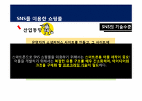 [경영학] SNS를 이용한 쇼핑몰 시장분석 및 사업계획서-13
