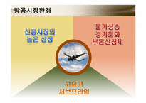 [재무관리] 대한항공과 아시아나 항공 재무분석 및 전망-3