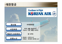 [재무관리] 대한항공과 아시아나 항공 재무분석 및 전망-5