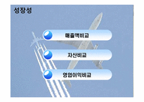 [재무관리] 대한항공과 아시아나 항공 재무분석 및 전망-7