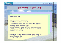 [마케팅] 오션월드 홍보 & SNS 마케팅 전략-11