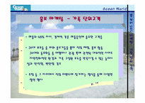 [마케팅] 오션월드 홍보 & SNS 마케팅 전략-12