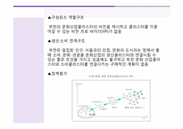 [문화와 행정] 부천시의 문화산업(클러스터) 현황과 활성화 방안-13