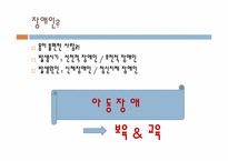 [사회복지] 장애 아동을 통해 본 장애인에 대한 실태와 그 대안-3