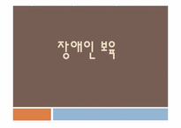 [사회복지] 장애 아동을 통해 본 장애인에 대한 실태와 그 대안-4